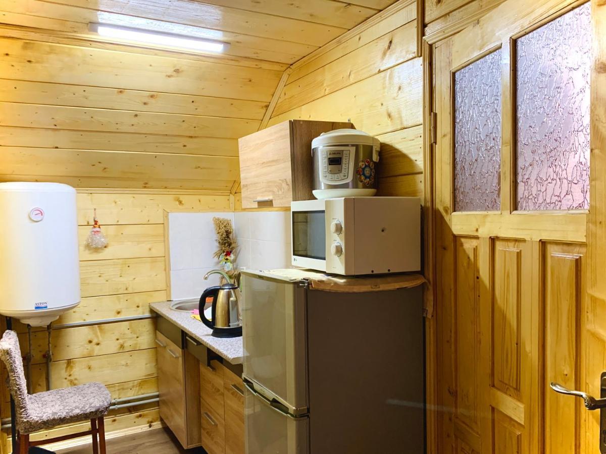 Ferienwohnung За Горбами Jaremtsche Exterior foto